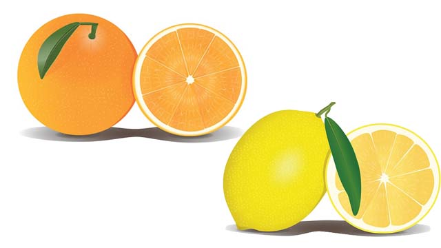 Citrus Fruit